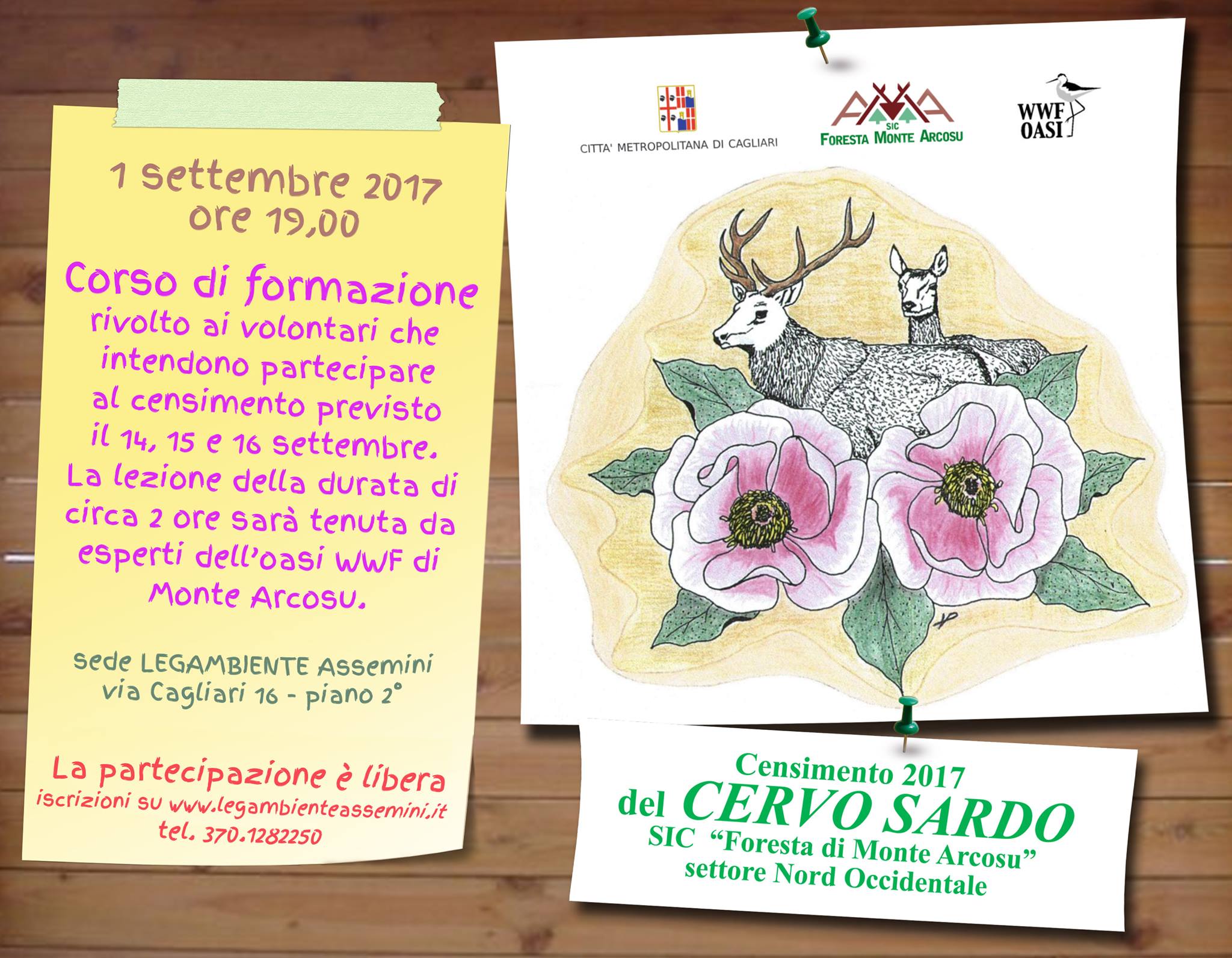 cervo sardo 2017