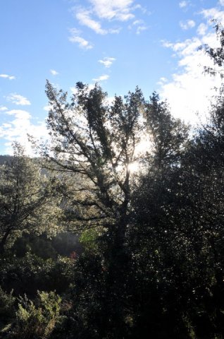 163596_475957406663_218795866663_5545346_7087521_n