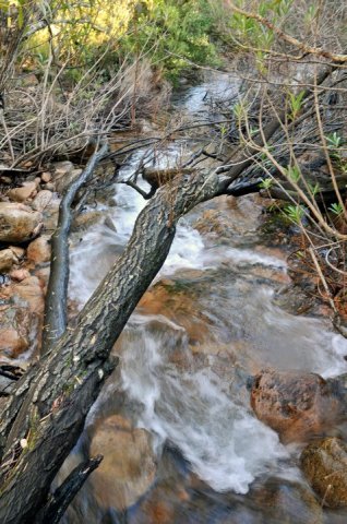 164115_475965421663_218795866663_5545426_1840689_n