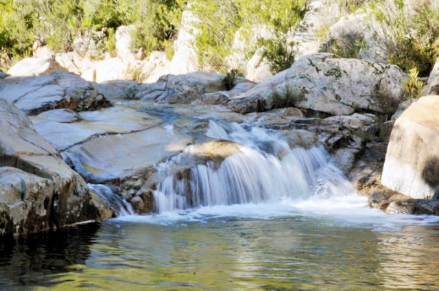 164831_475965616663_218795866663_5545433_6893324_n