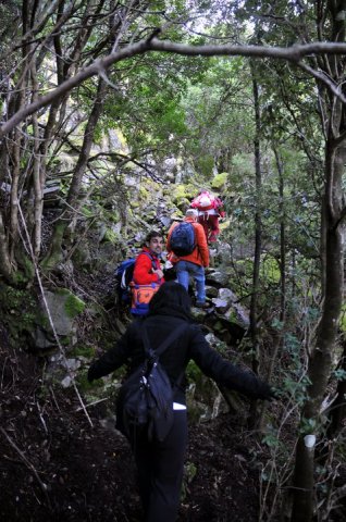 166576_475962366663_218795866663_5545401_2899995_n