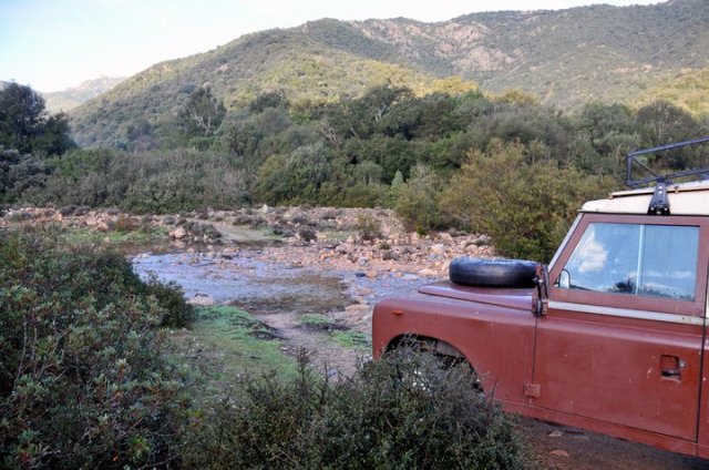 167867_475956901663_218795866663_5545326_509481_n