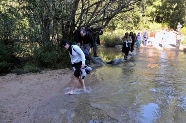 168509_475963746663_218795866663_5545413_4388044_n