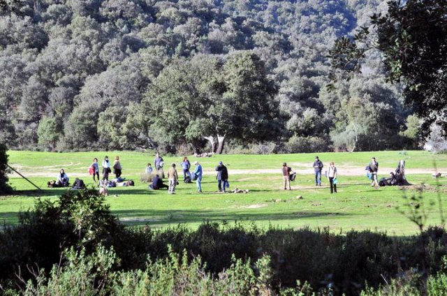 168857_475954086663_218795866663_5545226_1515765_n