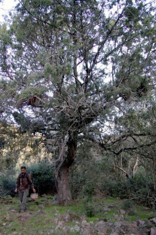 155587_458709831663_218795866663_5303887_672168_n