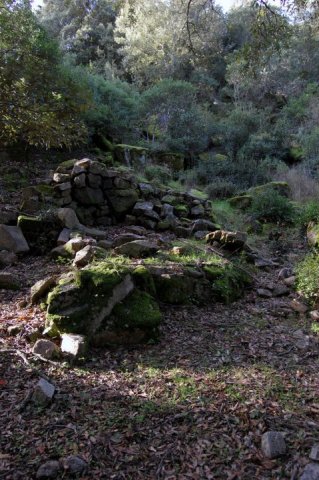 155695_458712571663_218795866663_5303928_4770249_n