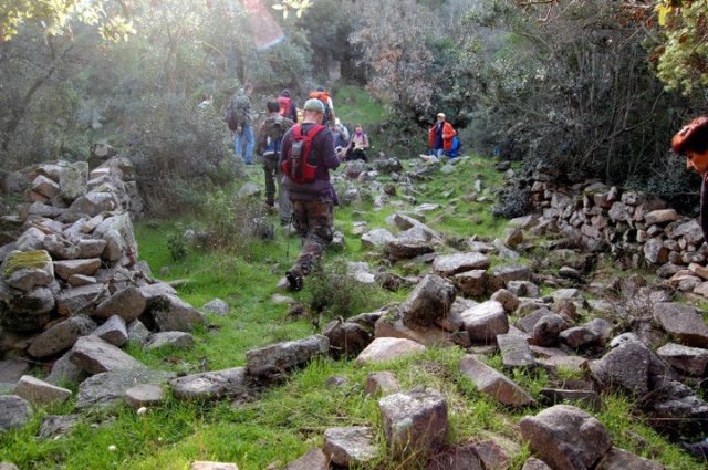 156791_458711556663_218795866663_5303918_2322603_n