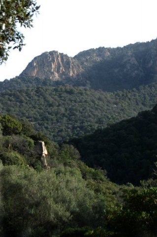 156982_458713051663_218795866663_5303932_406361_n