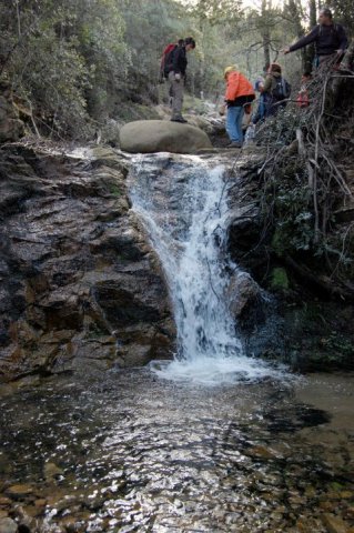 162978_458712291663_218795866663_5303925_4567633_n