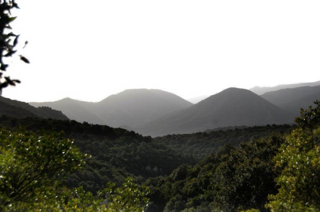 47634_458713411663_218795866663_5303933_1020301_n