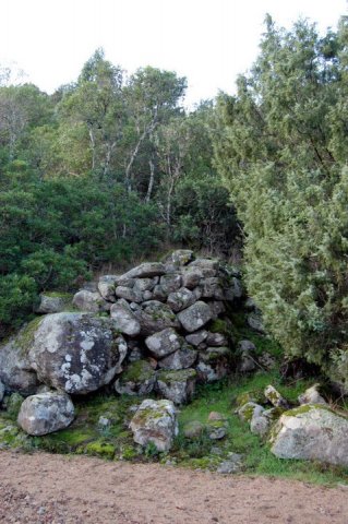 58054_458710326663_218795866663_5303895_7020279_n