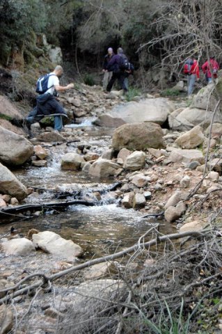 63550_458711901663_218795866663_5303923_4613404_n