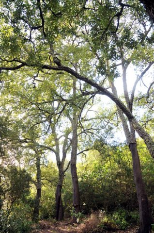 164506_484172606663_218795866663_5666537_3047319_n