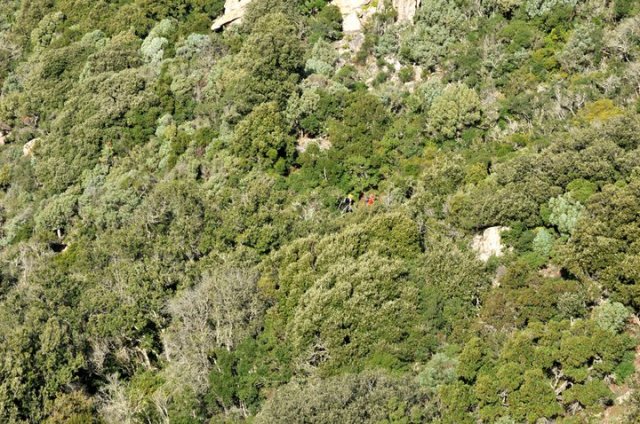 165338_484170326663_218795866663_5666478_6406543_n