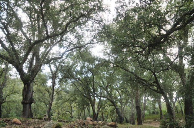 167069_484170716663_218795866663_5666482_530842_n