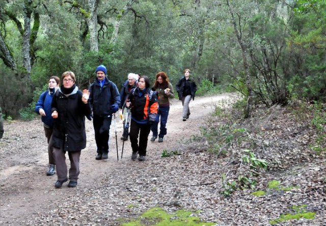 167639_484174036663_218795866663_5666574_5204984_n