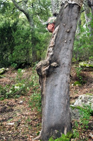 167944_484170821663_218795866663_5666483_3820351_n