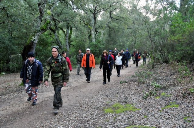 168714_484172831663_218795866663_5666547_827636_n