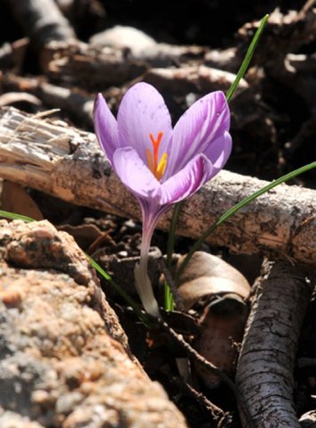 179080_484170141663_218795866663_5666476_1277060_n