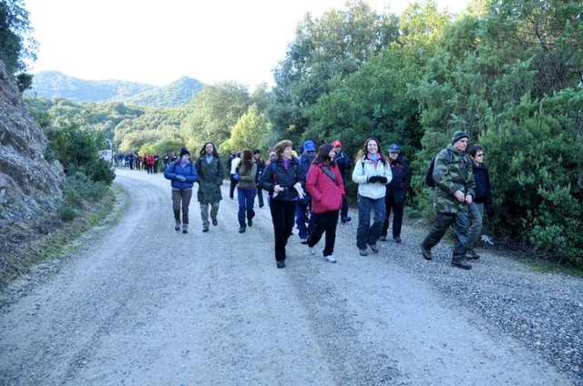 179246_484170051663_218795866663_5666475_5955567_n