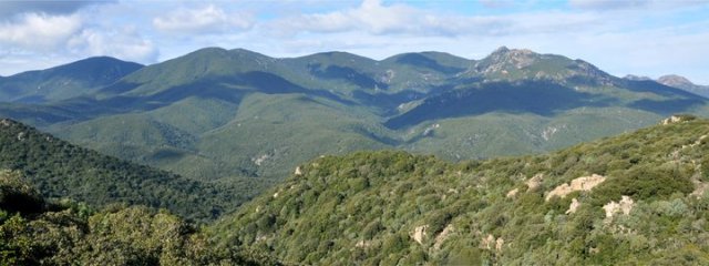 179263_484170211663_218795866663_5666477_6774430_n