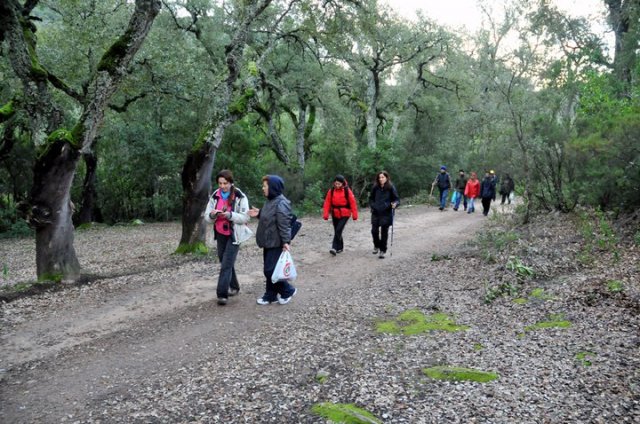 180650_484168501663_218795866663_5666464_5753702_n